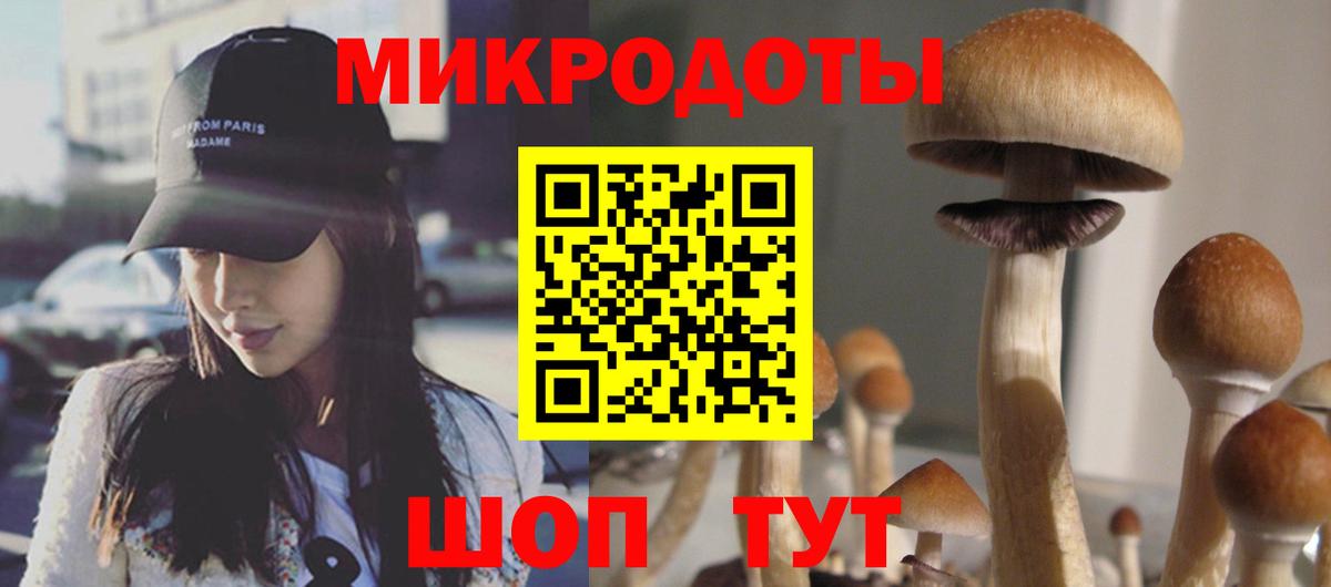 Новочеркасск  Галлюциногенные грибы Magic Shrooms  Вход с VPN 
